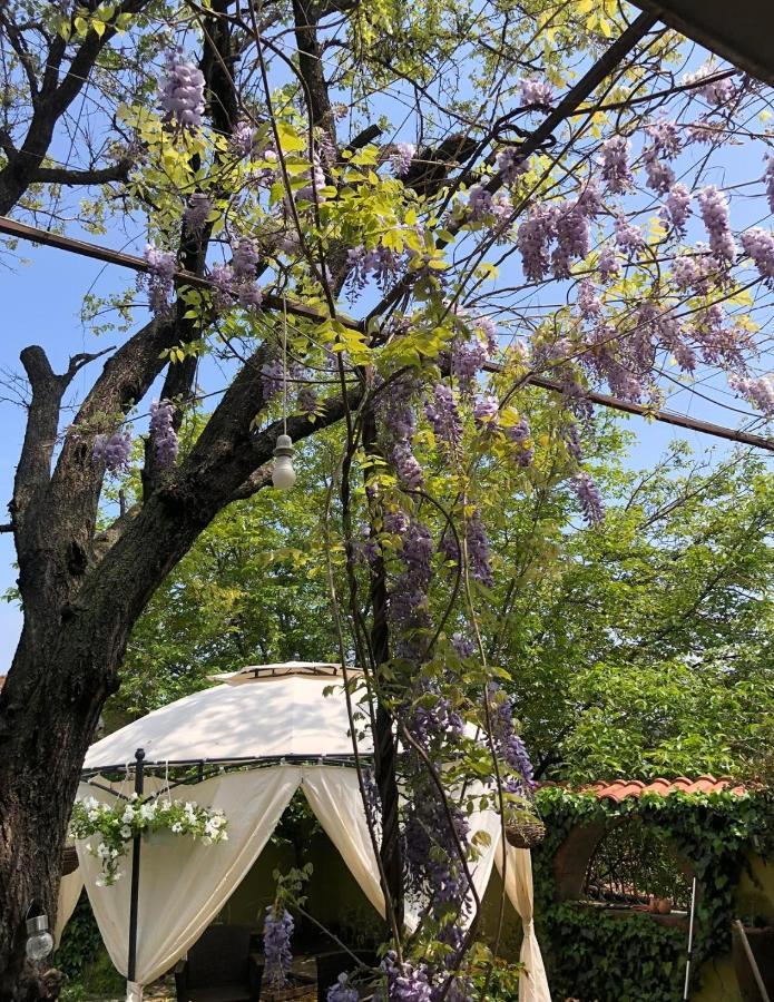 Lux Garden Home D Kumanovo Exterior photo